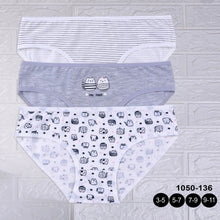  3-pack cotton slips set